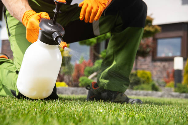 Professional Pest Control in Paducah, TX