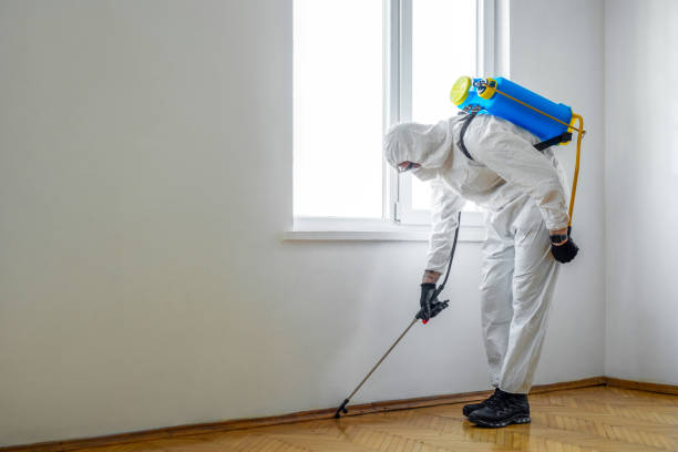 Best Wasp Removal Services  in Paducah, TX